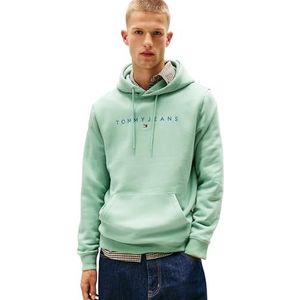 TOMMY JEANS Heren TJM REG LINEAR LOGO HOODIE EXT DM0DM20746, Groen, XS, Groen (Cloudy Jade Multi), XS