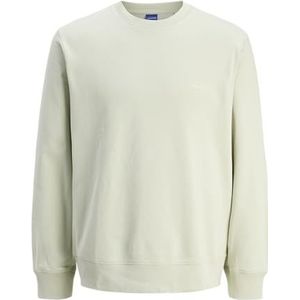 Jack & Jones - Jorvarenna - Hoodie - Lichtgroen - Katoen