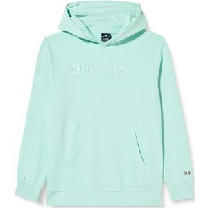 Champion Legacy Icons Tonal Logo B-Ultralight Spring Terry Sweatshirt met capuchon voor kinderen en jongens, pastelblauw, 11-12 jaar