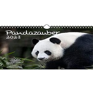 Pandazauber DIN A4 kalender voor 2023 Panda - Seelenzauber
