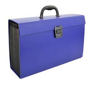 Rapesco 1553 Uitvouwbare Documentenbox met Handvat en 19 Vakken, Blauw