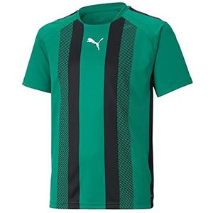 PUMA teamLIGA Striped Jersey Jr