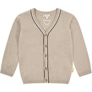 Steiff Gebreide jas voor jongens, dove, 110