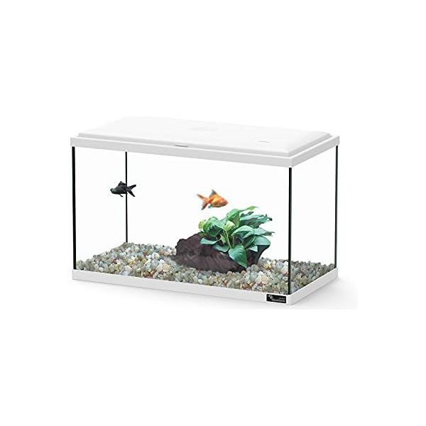 Amtra Nattes pour aquariums