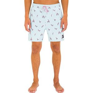 Hurley Cannonball Volley 17' Boardshorts voor heren