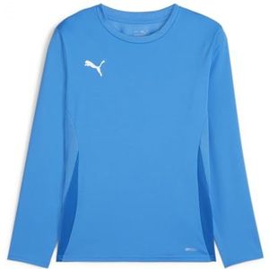 PUMA teamGOAL LS Jersey Jr