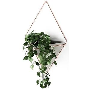 Umbra Trigg wandvaas en geometrische decoratie - plantenbak voor kamerplanten, vetplanten, luchtplanten, cactussen, kunstplanten en meer, beton/koper, groot, 1 stuk