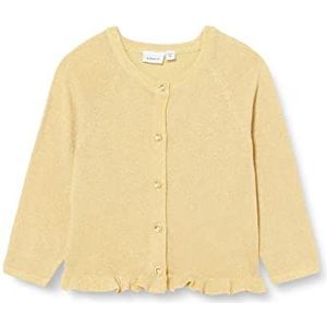 NAME IT Girl's NMFFENISE LS Knit Card Gebreide jas, Pineapple Slice, 110, Pineapple Slice, 110 cm