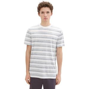 TOM TAILOR Denim Heren T-shirt, 36270 - Blauw Wit Inside Stripe, XXL