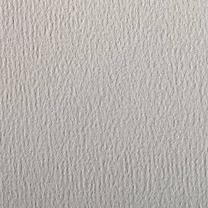 Clairefontaine - Ref 90881C - Etival Gekleurd Graineerd Tekening Papier (Verpakking van 5 Vellen) - A4 (29,7 x 21cm) - 160gsm Cellulose Art Papier - Lichtgrijs - Zuurvrij, pH Neutraal