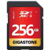 Gigastone - Pro gs-sdu3128gb-r - SDHC - 128 GB - UHS-1 - Klasse 10 - 95 MB/s
