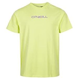 O'NEILL Paxton T-shirt 12014 Sunny Lime, Regular voor heren, 12014 Sunny Lime, M-L