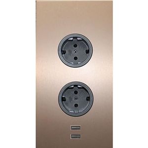 Caressi Hoekstopcontact 2ST220 - stopcontact 2-voudig met 2 x USB voor verticale montage in een hoek, roestvrij staal, 230 V