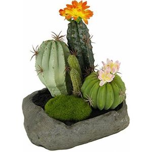 Flair Flower cactussen in steen, plastic, oranje, 19 x 15 x 14 cm