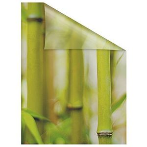 Raamfolie zelfklevend, inkijkbescherming, bamboe - groen