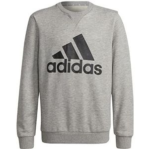 Sweatshirt van het merk Adidas B BL SWT