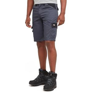 Dickies, Heren, Everyday-shorts, grijs/zwart, 36, grijs/zwart, 36 NL