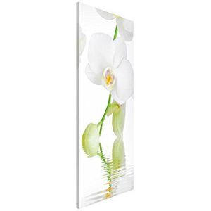 Apalis Orchideeën magneetbord - wellness orchidee - bloemenbeeld memoboard hoog 78 cm x 37 cm grootte HxB: 78 cm x 37 cm