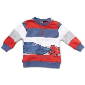 Sanetta Sport-sweatshirt voor kinderen met lange mouwen 74 cm Multicolore (Mehrfarbig (2379))