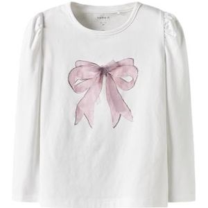 NAME IT Shirt 'NMFSKATY'  rosa / zilver / wit