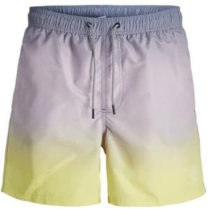 Jack & Jones JPSTFIJI JJSWIM DIP DYE LY SN, stone, S