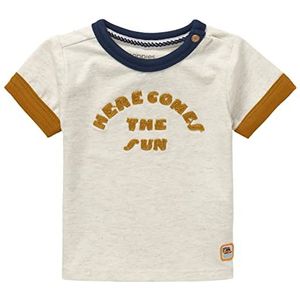 Noppies Baby Baby-jongens jongens T-shirt met korte mouwen Huangshi T-shirt, RAS1202 Oatmeal-P611, 74
