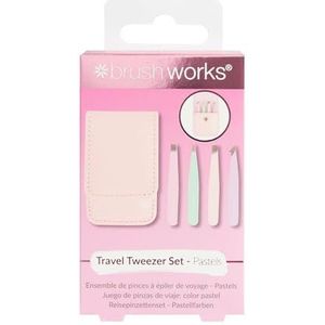 Brushworks - Pastels - Reistang Set