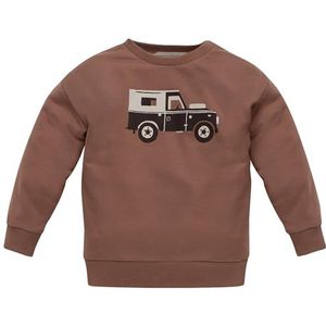 Pinokio baby-jongens sweatshirt, Brown Safari, 98 cm