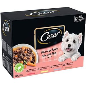 CESAR Hondenvoer – 12 vershoudzakken (1 verpakking van 12 x 100 g) – natvoer voor honden in saus – rund/kip/lam/kalkoen – volledig voer en evenwichtig met natuurlijke ingrediënten