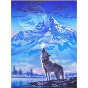 Pracht Creatives Hobby Diamond Painting set, afbeelding met motief Wolf voor berg en accessoires, knutselset om te schilderen met glittersteentjes, voor kinderen vanaf 5 jaar