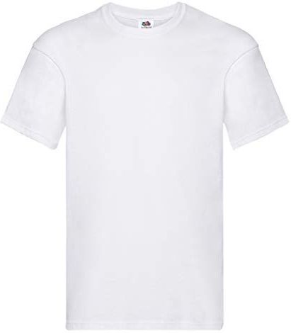 FRUIT VAN DE LOOM heren origineel T-shirt