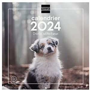 Finocam Kalender voor wandfoto's, 30 x 30 cm, voor notities 2024 januari 2024 - december 2024 (12 maanden), Franse puppy's