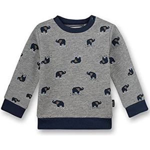 Sanetta Baby-jongens grijs sweatshirt