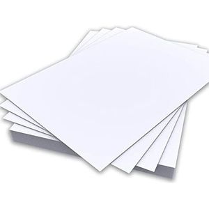 A4 Lichtgrijs Kleurenpapier 80gsm Vellen Dubbelzijdige Printer Papier Copier Origami Flyers Tekening School Kantoor Afdrukken 210mm x 297mm (A4 Lichtgrijs Papier - 80gsm - 50 Vellen)