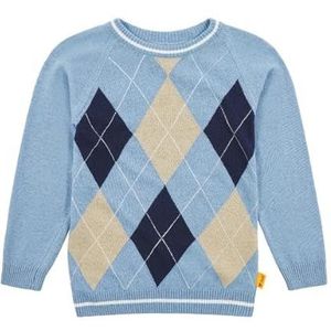 Steiff jongens trui, Lavender Lustre, 116