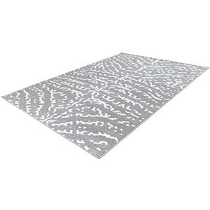 One Couture Vloerkleed modern design woonkamer zebra tapijten grijs wit woonkamertapijt eetkamertapijt tapijtloper gangloper, afmetingen: 120cm x 170cm