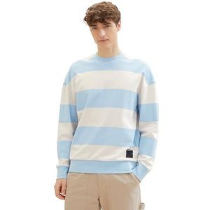TOM TAILOR Denim Sweatshirt voor heren, 35099 - Blauw Beige Big Stripe, L