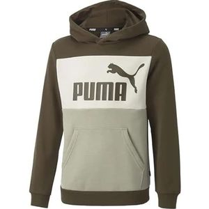 PUMA Sweatshirt merk ESS + Colorblock Hoodie FL B