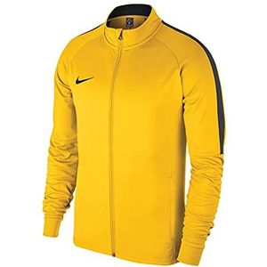 Nike - Dry Academy 18 - Sweatshirt - Geel - Zweetafvoerende Stof
