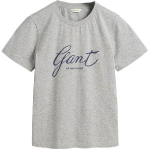 REG Script T-shirt, lichtgrijs gem., XXL