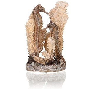 biOrb 55038 zeepaardje natural S - klein zeepaardje sculptuur met koraal voor individuele vormgeving van zoetwateraquaria en zeewateraquaria
