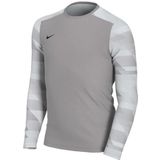 Nike Uniseks-Kind Top Met Lange Mouwen Y Nk Df Park Iv Jsy Ls Gk, Pewter Grijs/Wit/Zwart, CJ6072-052, L