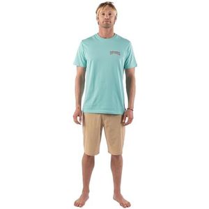 RIP CURL Heren-T-shirt met ronde hals, normale pasvorm, Licht Aqua, L