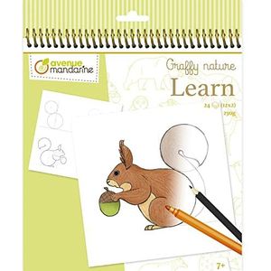 Avenue Mandarine - Een spiraalvormig tekenboek, leren tekenen - Bos thema - 24 tekeningen om te reproduceren (12 ontwerpen x2) - papier 250g - vanaf 5 jaar - GY150C Graffy Learn