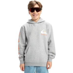 Quiksilver Omni Logo Hoodie Jeugd Pullover Trui voor jongens (pak van 1)