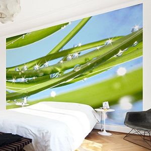 Apalis Vliesbehang bloemen behang Fresh Green fotobehang breed | vlies behang wandbehang foto 3D fotobehang voor slaapkamer woonkamer keuken | groen, 94646