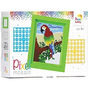 Pixel P31251 Mozaïek cadeauverpakking papegaai, pixel afbeelding met kader, eenvoudig insteeksysteem, niet strijken of lijmen, steentjes van bio-plastic