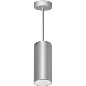 Daisalux Lens hanglamp, 2n20, 230 V, 2 uur, zilvergrijs
