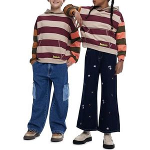 Desigual - Sweatshirt - Lange Mouwen - Met Gecombineerde Strepen