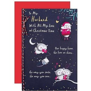 Kerstkaart voor man van Hallmark - Schattig geïllustreerd Uilen Ontwerp